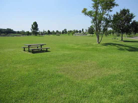 🌳 사가 현립 삼림공원(사가켄리쓰신린코엔) 이미지 4